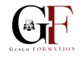 Gesco Formation
